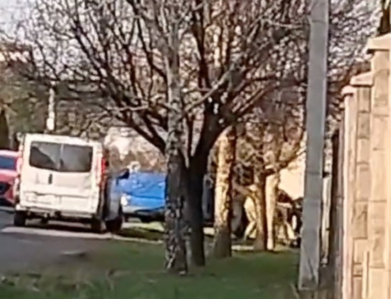 В Мукачеві люди в камуфляжі спробували силоміць запхати чоловіка до авто (відео)