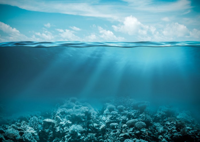 22 марта 2021: какой сегодня праздник, традиции, приметы, именины